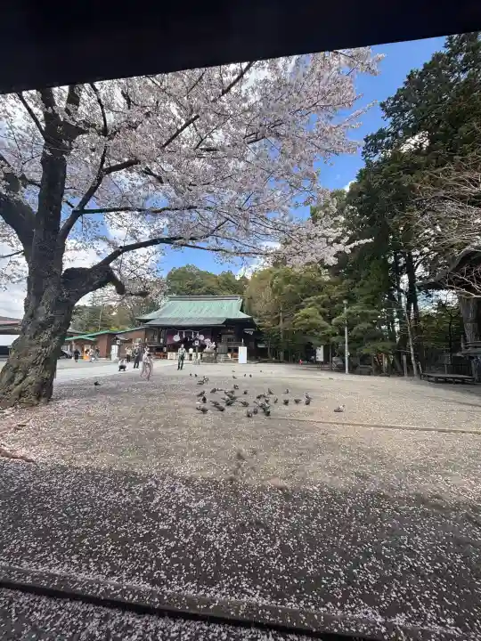 宇都宮二荒山神社の{uncategorized: "未分類", other: "その他", undefined: "問題あり", building: "その他建物", grave: "お墓", sacred_gate: "鳥居", guardian: "狛犬", statue: "像", buddha: "仏像", history: "歴史", nature: "自然", garden: "庭園", animal: "動物", pagoda: "塔", temizu: "手水舎", mountain_gate: "山門・神門", sanctuary: "本殿・本堂", subordinate: "末社・摂社", art: "芸術", scenery: "景色", jizo: "地蔵", ema: "絵馬", goshuin: "御朱印", omikuji: "おみくじ", items: "授与品その他", amulet: "お守り", goshuincho: "御朱印帳", eats: "食事", festival: "お祭り", votive_dance: "神楽", shichigosan: "七五三参", wedding: "結婚式", experience: "体験その他", initially: "初詣", around: "周辺", anti_infection: "感染症対策"}