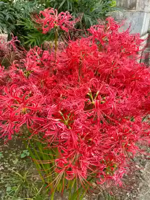 花蔵院(東京都)