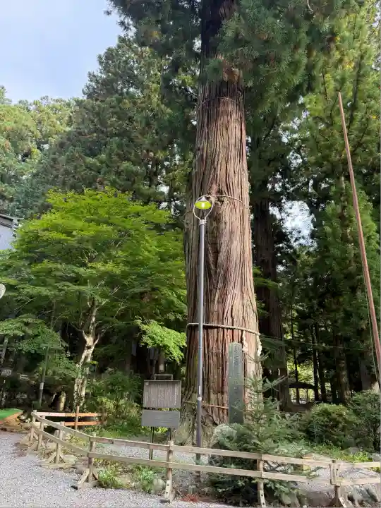 河口浅間神社(山梨県)