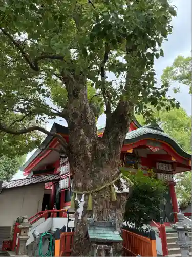 我堂八幡宮(大阪府)