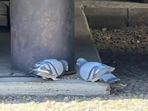 高円寺氷川神社(東京都)