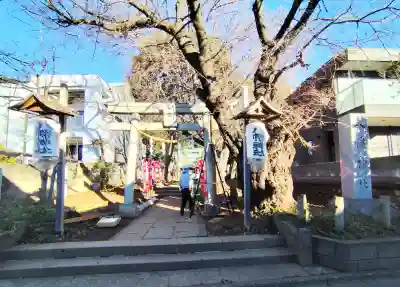 下高井戸八幡神社の{uncategorized: "未分類", other: "その他", undefined: "問題あり", building: "その他建物", grave: "お墓", sacred_gate: "鳥居", guardian: "狛犬", statue: "像", buddha: "仏像", history: "歴史", nature: "自然", garden: "庭園", animal: "動物", pagoda: "塔", temizu: "手水舎", mountain_gate: "山門・神門", sanctuary: "本殿・本堂", subordinate: "末社・摂社", art: "芸術", scenery: "景色", jizo: "地蔵", ema: "絵馬", goshuin: "御朱印", omikuji: "おみくじ", items: "授与品その他", amulet: "お守り", goshuincho: "御朱印帳", eats: "食事", festival: "お祭り", votive_dance: "神楽", shichigosan: "七五三参", wedding: "結婚式", experience: "体験その他", initially: "初詣", around: "周辺", anti_infection: "感染症対策"}
