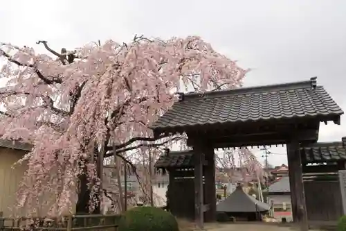 長興寺の山門