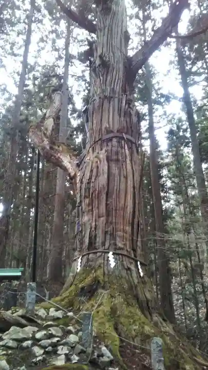 志和稲荷神社の自然