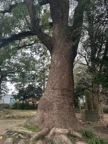 有家温泉神社(長崎県)