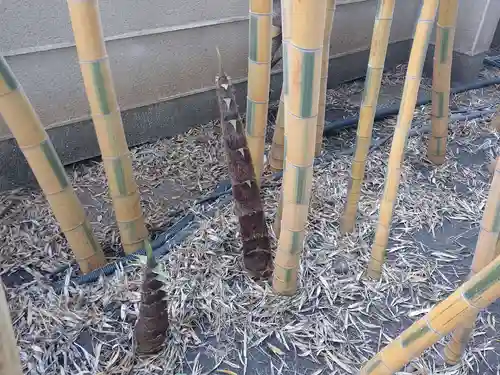 梅窓院(東京都)