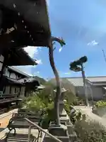 明泉寺の本殿・本堂