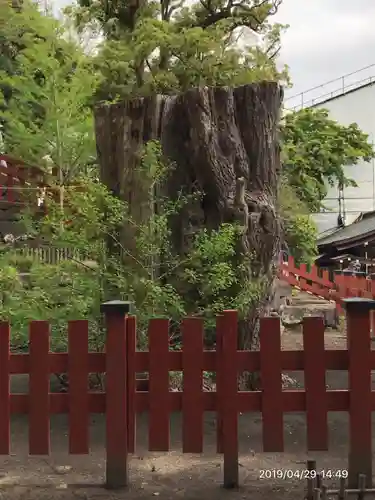 鶴岡八幡宮の自然