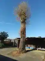 正泉寺(埼玉県)