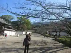 醍醐寺(京都府)