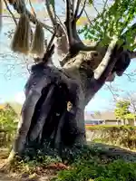 緑水神社のその他建物