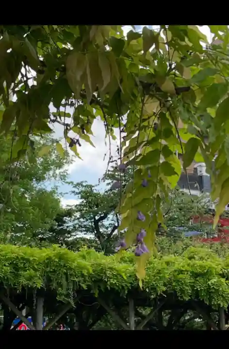 亀戸天神社(東京都)