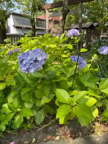 若宮神明社(愛知県)