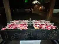 成田山深川不動堂(新勝寺東京別院)(東京都)