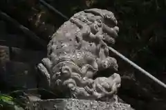 阿久津「田村神社」（郡山市阿久津町）旧社名：伊豆箱根三嶋三社の狛犬