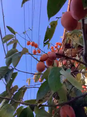 津島神社の周辺
