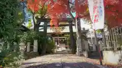 常祗稲荷神社の鳥居