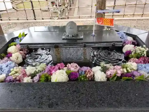 新琴似神社の手水舎