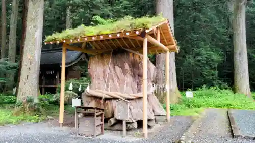 小國神社(静岡県)
