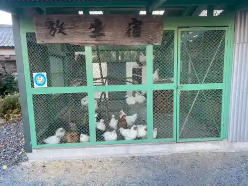 江西寺（祈願だるま寺）(三重県)