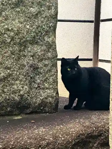 道明寺天満宮の動物