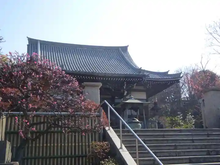 妙蓮寺のその他建物
