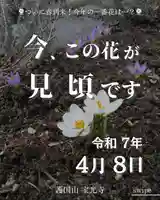 宝光寺(北海道)