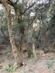 高龗神社の自然