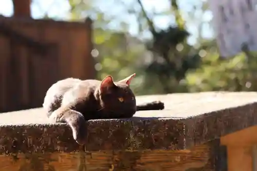 玉野御嶽神社(愛知県)
