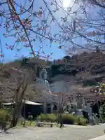 南法華寺(壷阪寺)の仏像