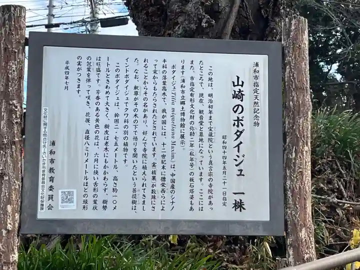 宝蔵院観音堂(埼玉県)