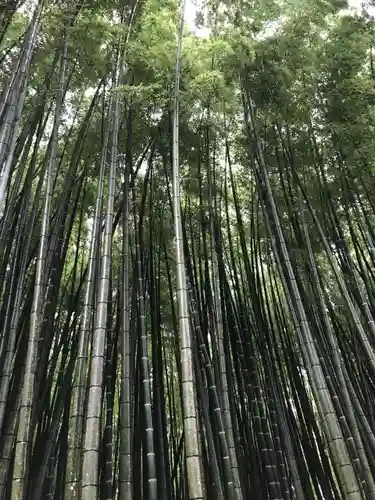 武雄神社の自然