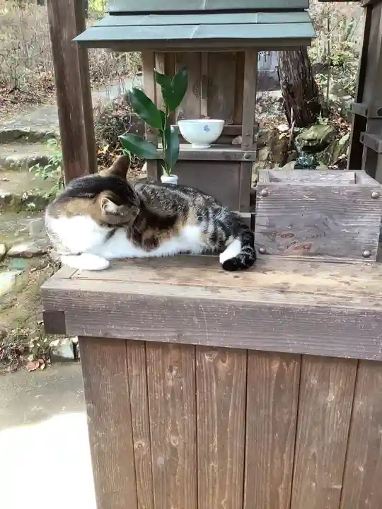 玉野御嶽神社の動物