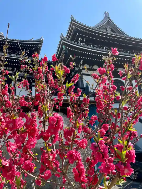 燈明寺(東京都)