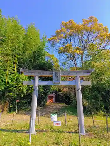 定納稲荷社の鳥居