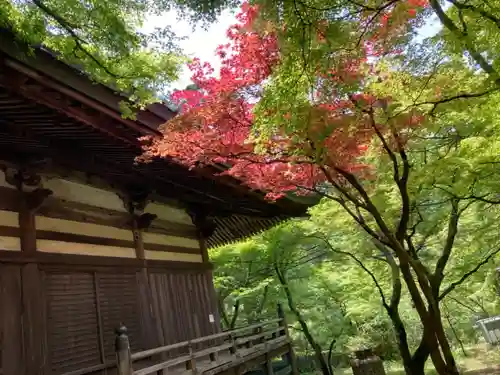 施福寺のその他建物