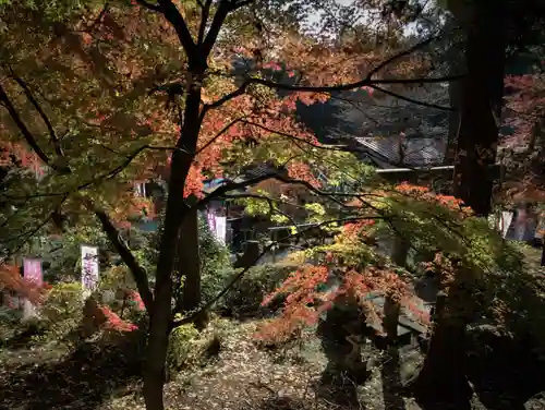 日光大室高龗神社の自然