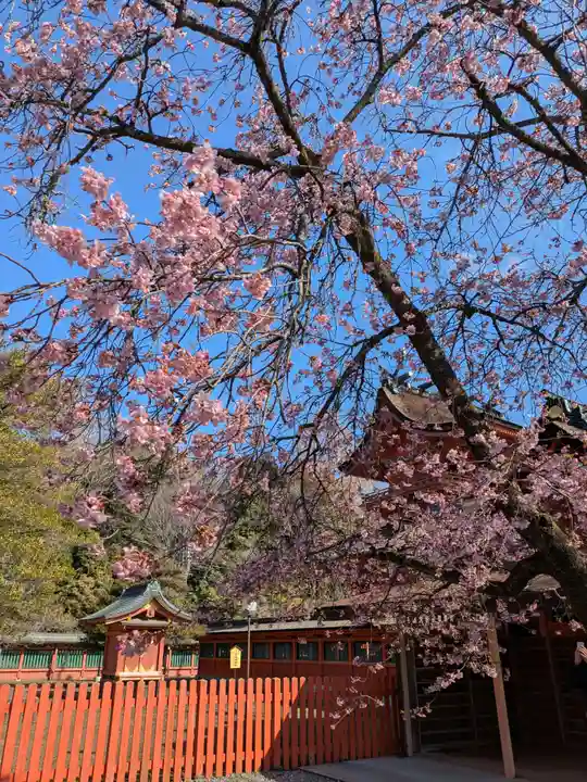 富士山本宮浅間大社(静岡県)