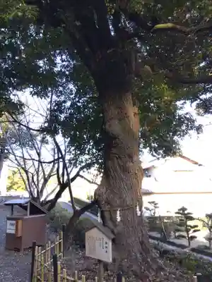 熊野神社(静岡県)