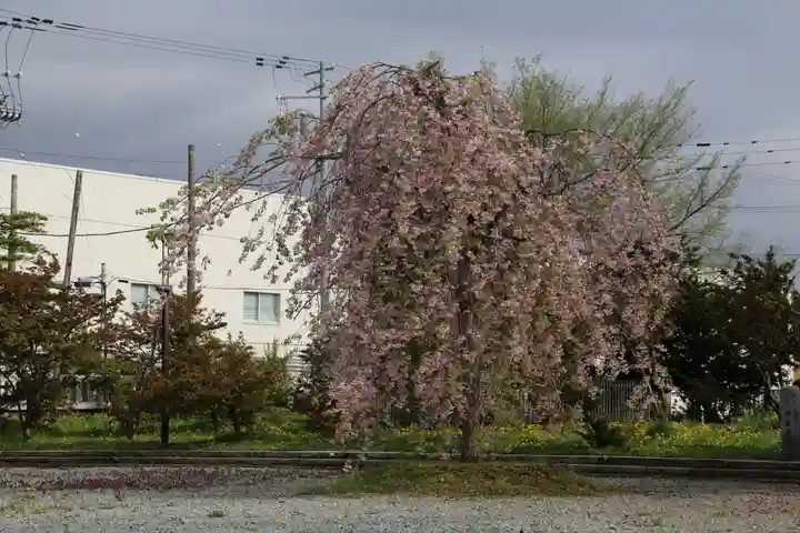 空知神社の周辺