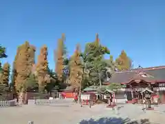 阿部野神社(大阪府)