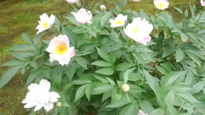 天龍寺(京都府)