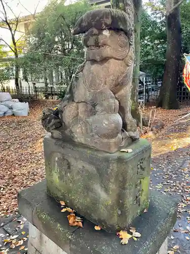 武蔵野八幡宮の狛犬