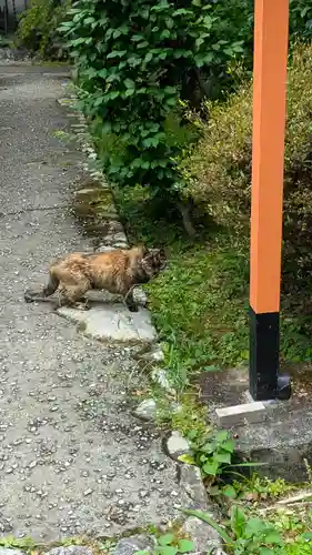 十輪寺(京都府)