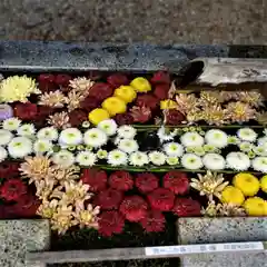  岳温泉神社 の手水