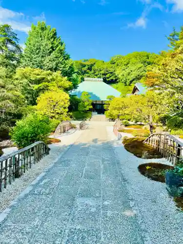 浄妙寺(神奈川県)