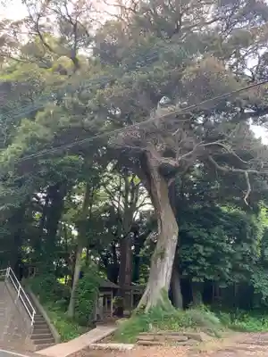 鳥見神社(千葉県)