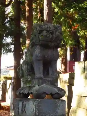 大井俣窪八幡神社の狛犬