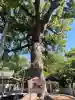 阿麻美許曽神社の{uncategorized: "未分類", other: "その他", undefined: "問題あり", building: "その他建物", grave: "お墓", sacred_gate: "鳥居", guardian: "狛犬", statue: "像", buddha: "仏像", history: "歴史", nature: "自然", garden: "庭園", animal: "動物", pagoda: "塔", temizu: "手水舎", mountain_gate: "山門・神門", sanctuary: "本殿・本堂", subordinate: "末社・摂社", art: "芸術", scenery: "景色", jizo: "地蔵", ema: "絵馬", goshuin: "御朱印", omikuji: "おみくじ", items: "授与品その他", amulet: "お守り", goshuincho: "御朱印帳", eats: "食事", festival: "お祭り", votive_dance: "神楽", shichigosan: "七五三参", wedding: "結婚式", experience: "体験その他", initially: "初詣", around: "周辺", anti_infection: "感染症対策"}
