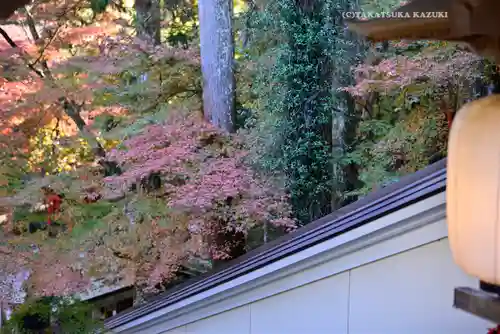 目の霊山　油山寺(静岡県)
